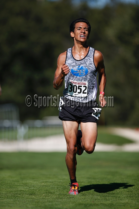 2013SIXCCOLL-071.JPG - 2013 Stanford Cross Country Invitational, September 28, Stanford Golf Course, Stanford, California.
